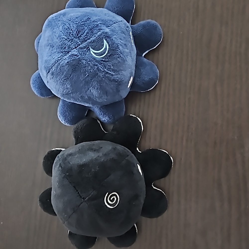 PRE-OWNED, REVERSIBLE TEETURTLE